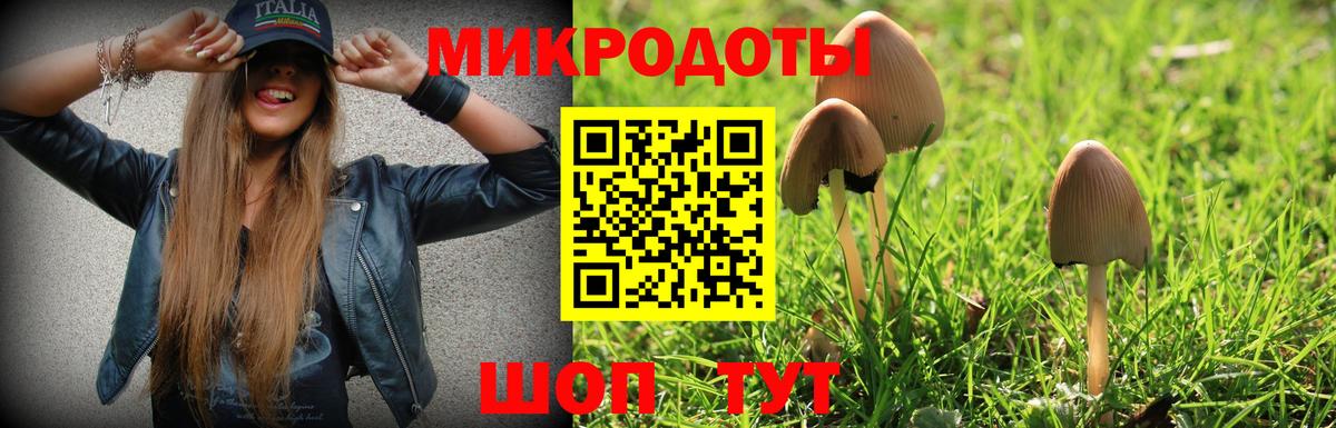 Галлюциногенные грибы Psilocybine cubensis Белорецк